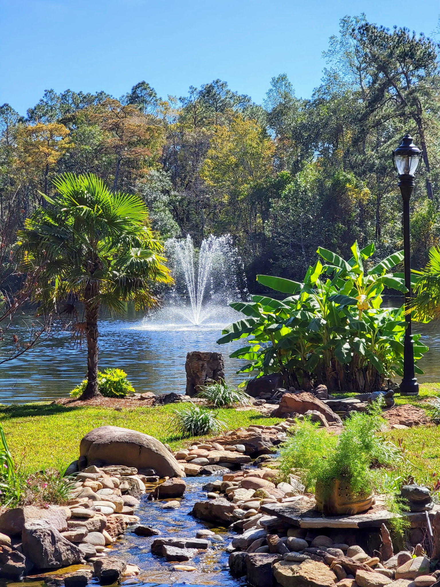 Pond fountain, rocky stream, lush green plants