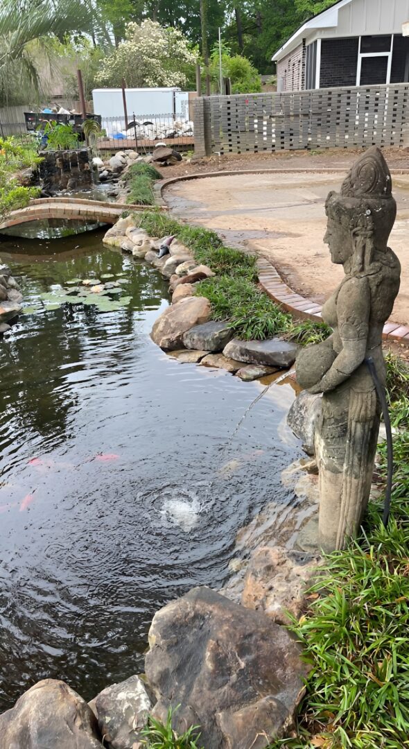 Stone statue fountain beside koi pond