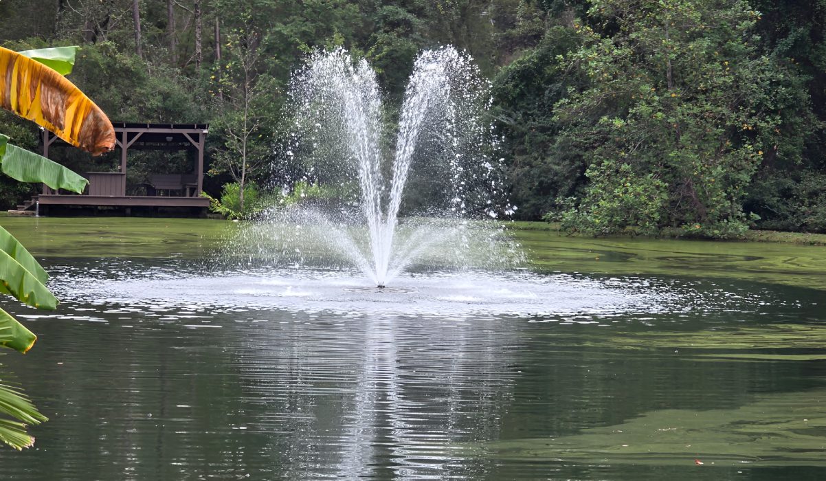 Fountain spraying water in green forested pond