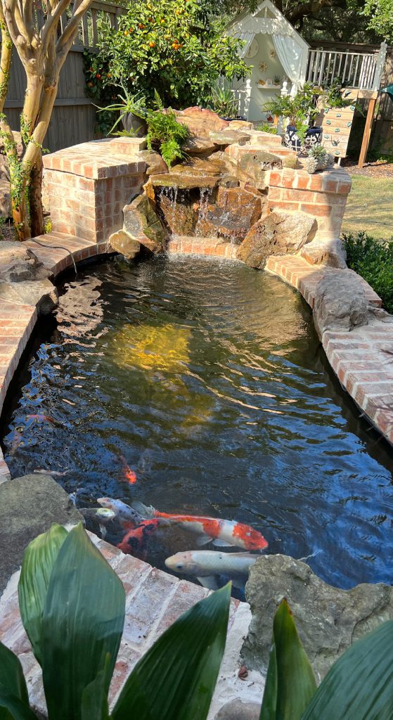 Backyard brick koi pond with cascading waterfall