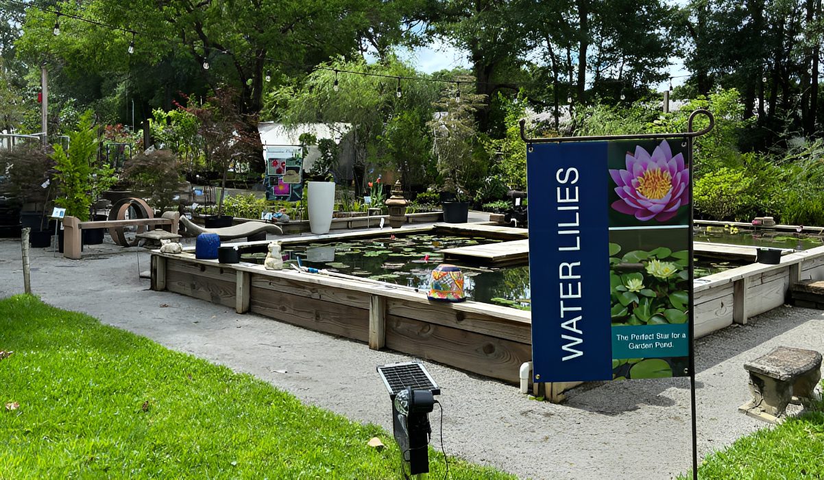Garden pond with water lilies sign