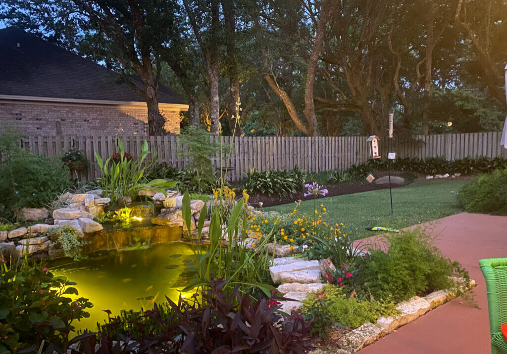 Backyard garden with illuminated pond and waterfall