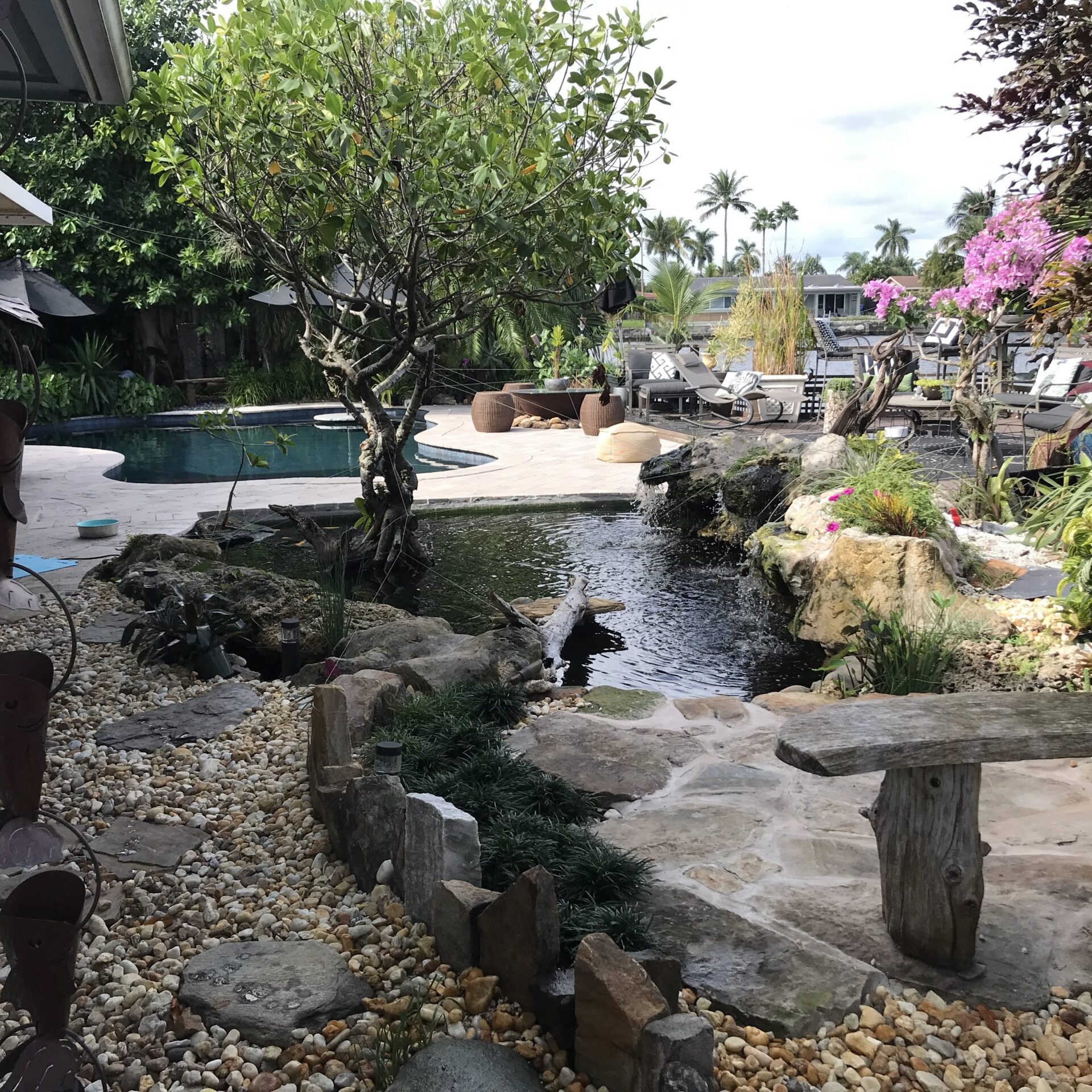 Tropical backyard pond with stone bench
